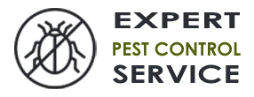 Emergency Exterminator Company Seattle